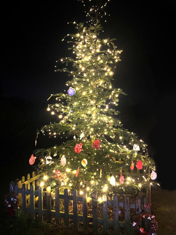 Christmas tree Dec 25
